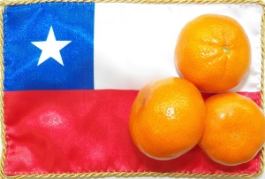 mandarins,clementines, murcotts, citrus, loading,fresh fruit,baika,harvest,market situation,ez peelers,Chile,USA, import,export,ship,import murcotts, buy citrus, import fruit